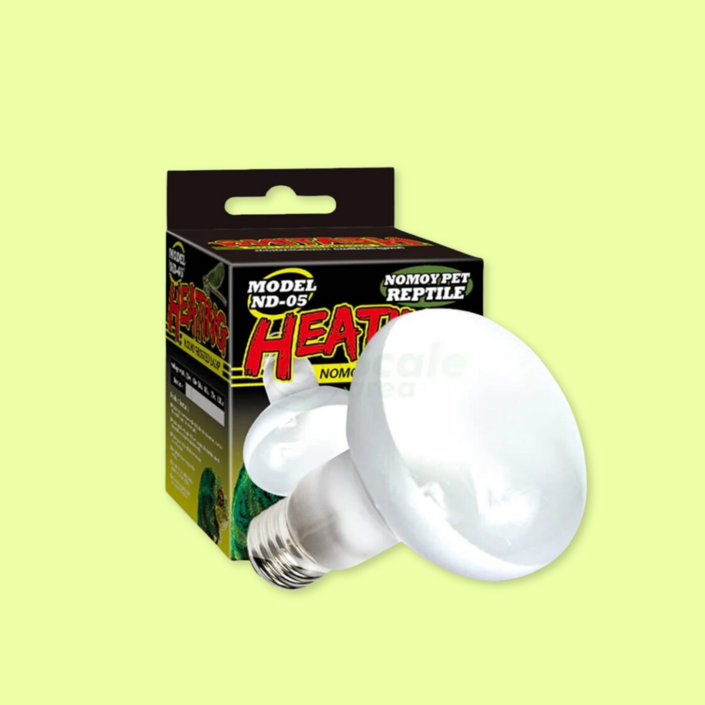 Kit Terrario para Pogona