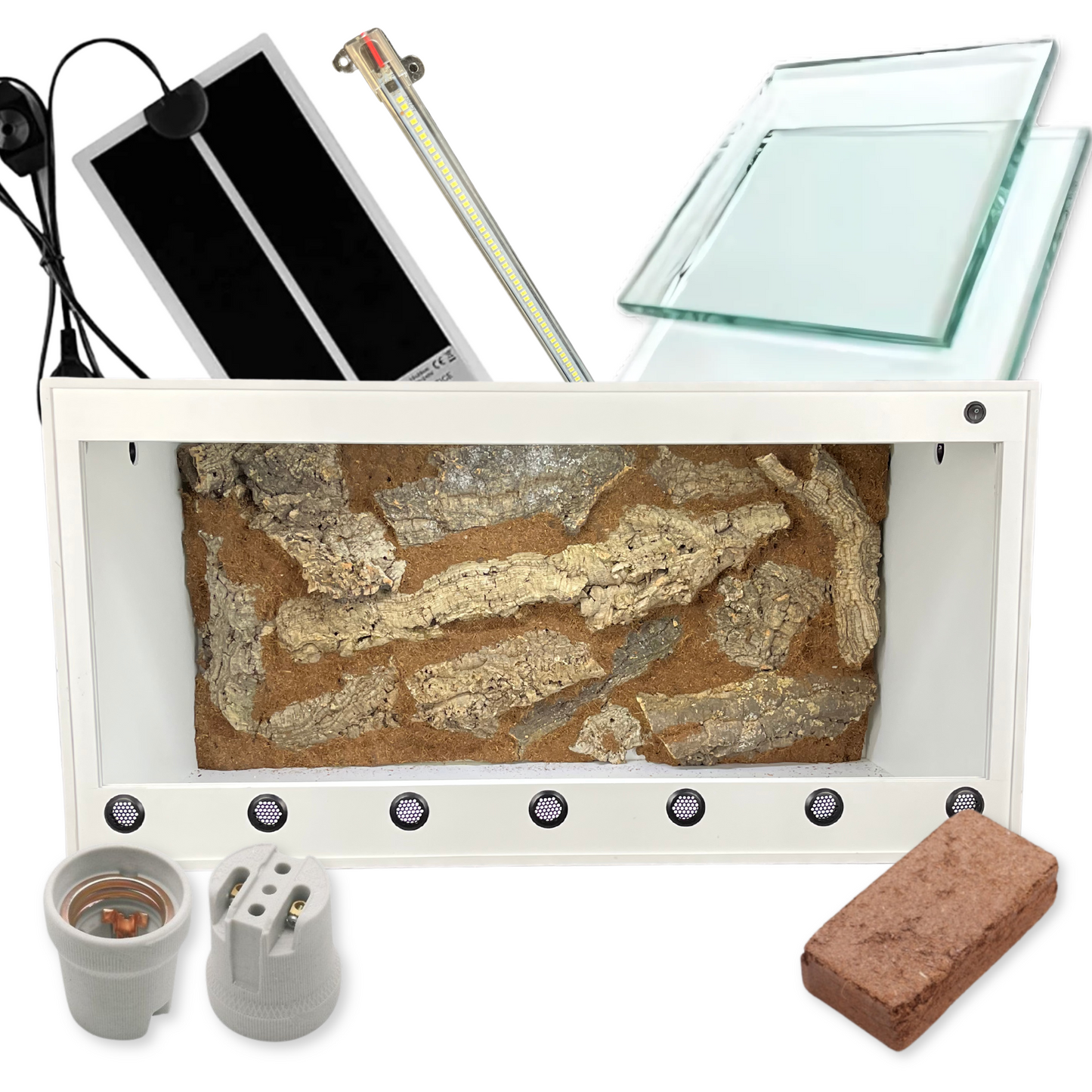 Kit Terrario para Gecko