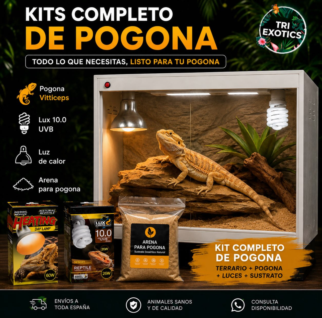 Kit completo para dragon barbudo de terrario de PVC
