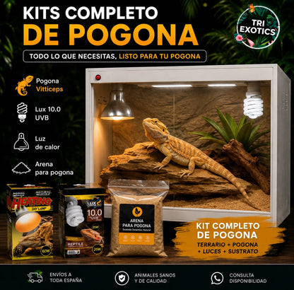 Kit completo para dragon barbudo de terrario de PVC