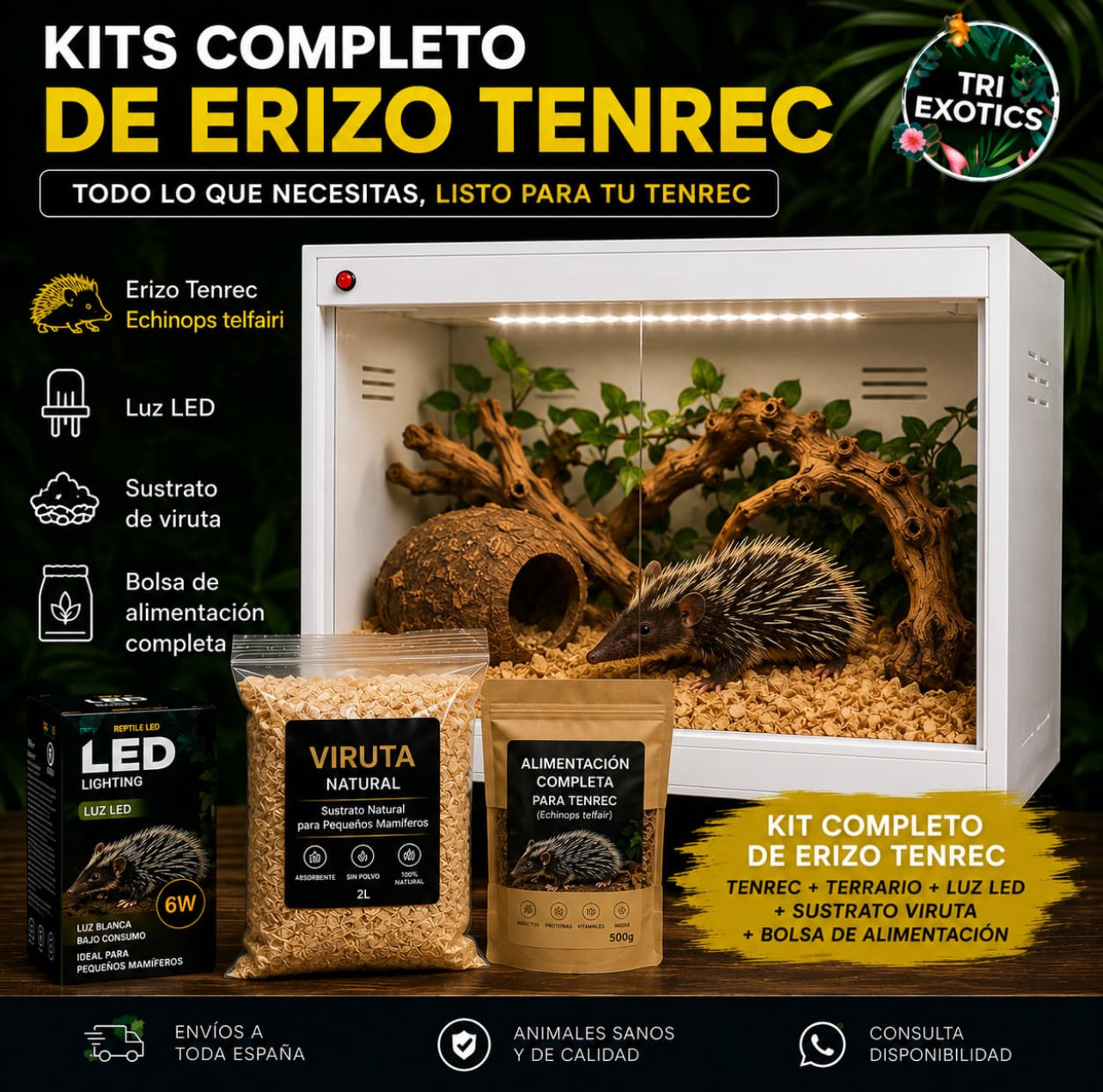 Kit completo de terrario para erizo tenrec + animal